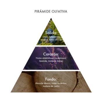 Eau de Parfum Muschio Bianco Pirámide olfativa