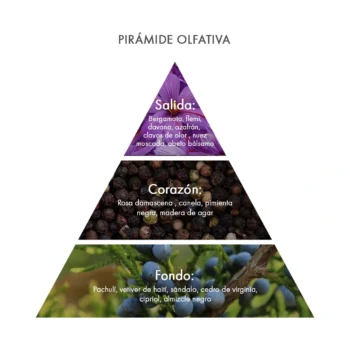 Pirámide olfativa Eau de Parfum Black Pepper Acca Kappa Ecuador
