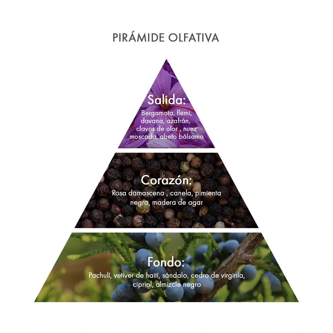 Pirámide olfativa Eau de Parfum Black Pepper Acca Kappa Ecuador Pirámide olfativa Eau de Parfum Black Pepper Acca Kappa Ecuador