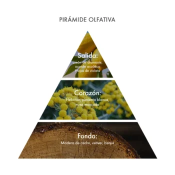 Pirámide olfativa Eau de Parfum Giallo Elicriso Acca Kappa Ecuador