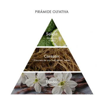 Pirámide olfativa Eau de Parfum MyScent Acca Kappa Ecuador
