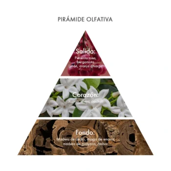 Piramide olfativa Eau de Parfum Pepe Rosa Acca Kappa Ecuador