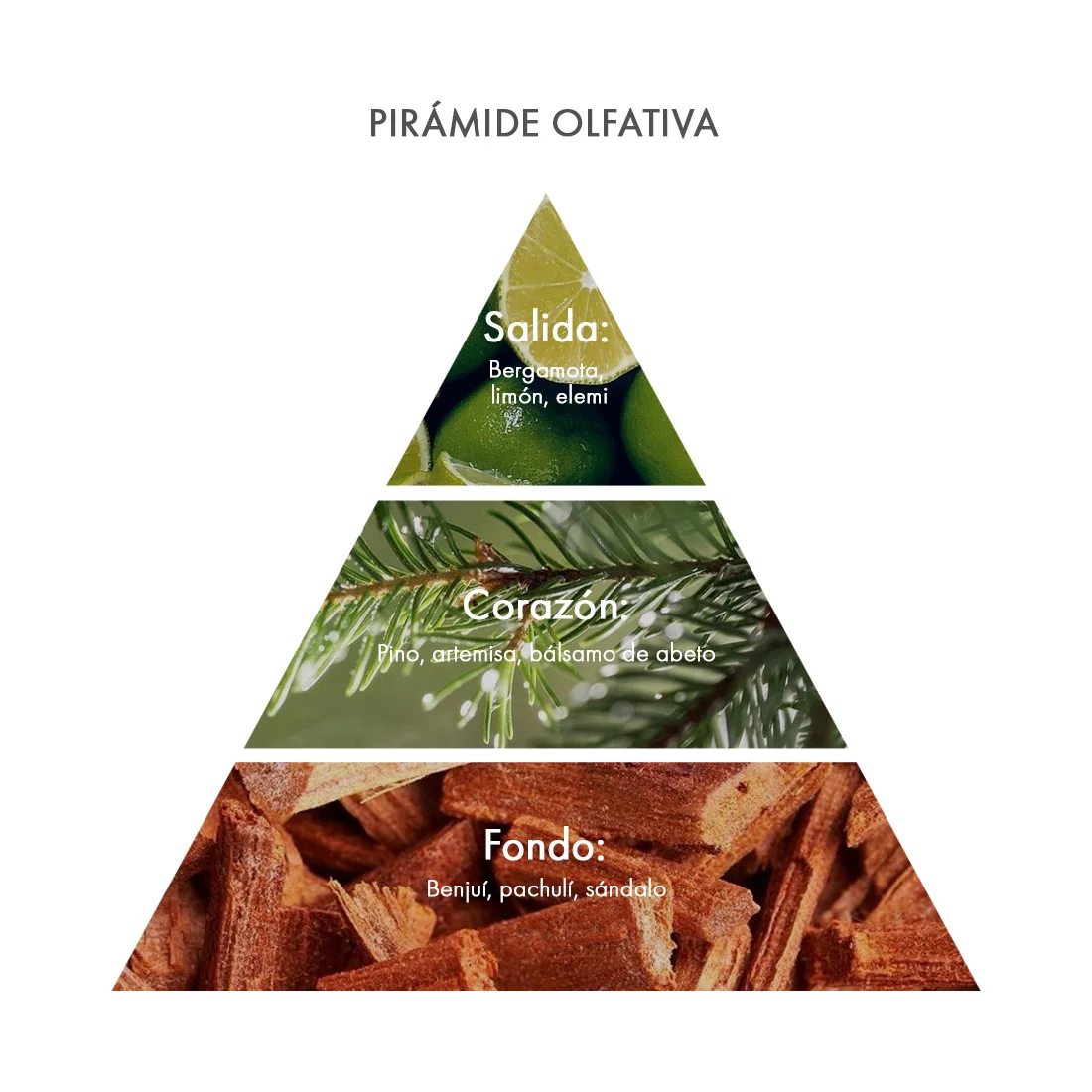 Pirámide olfativa Eau de Parfum Sfaria Acca Kappa Ecuador Pirámide olfativa Eau de Parfum Sfaria Acca Kappa Ecuador