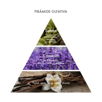 Pirámide olfativa Eau de Parfum Volata Acca Kappa ecuador