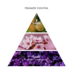 2. Sakura-Tokyo-Eau-de-parfum-50ml-Grey