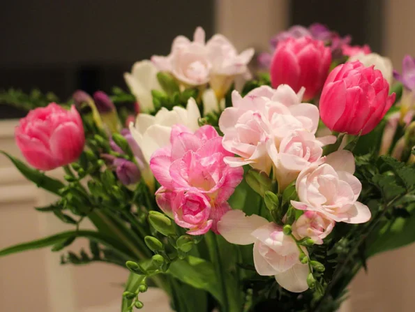 Esencia de Freesia Acca Kappa Ecuador