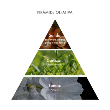 piramide olfativa Eau de Parfum Mandarin & Green Tea Acca Kappa Ecuador
