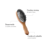 Cepillo-ovalado-–-Cerdas-mixtas-jabalí-y-nylon