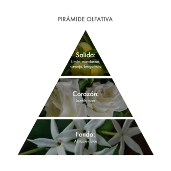 Piramide olfativa Eau de Cologne Green Mandarin de acca kappa ecuador