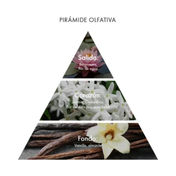 Pirámide olfativa Eau de Parfum Jasmine & Waterlily Acca Kappa Ecuador