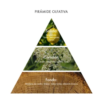 Pirámide olfativa Eau de Parfum Tilia Cordata Acca Kappa ecuador