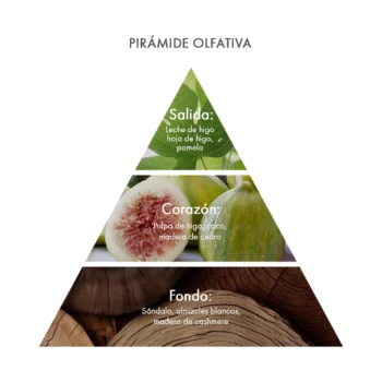 Pirámide olfativa White Fig & Cashmere Acca Kappa ecuador