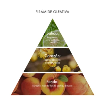 piramide olfativa Eau de Parfum Calycanthus Acca Kappa Ecuador